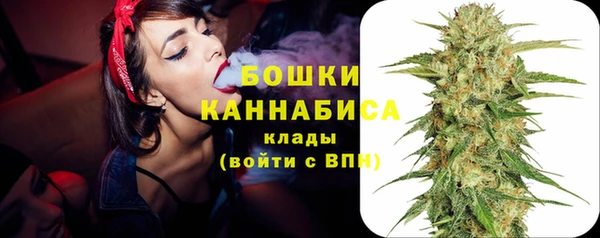 стафф Аркадак