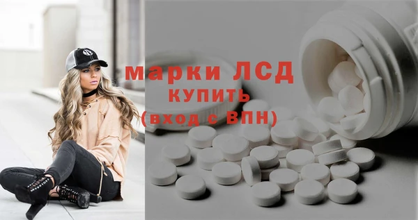 прущие грибы Армянск