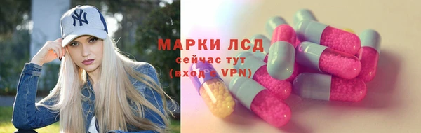 стафф Аркадак