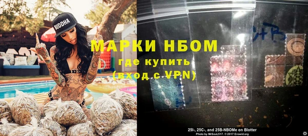 стафф Аркадак