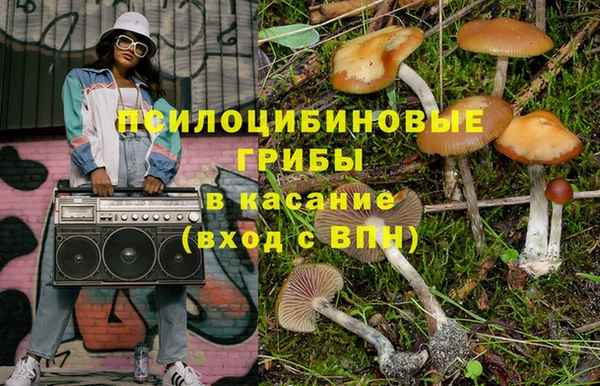 экстази Арсеньев