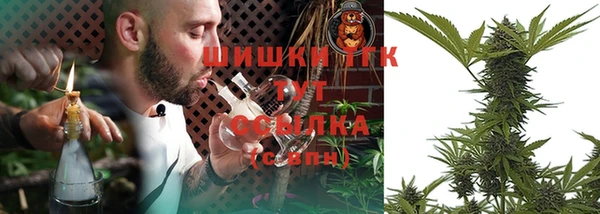 прущие грибы Армянск
