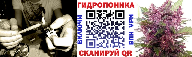 Конопля Ganja  нарко площадка Telegram  Темников 